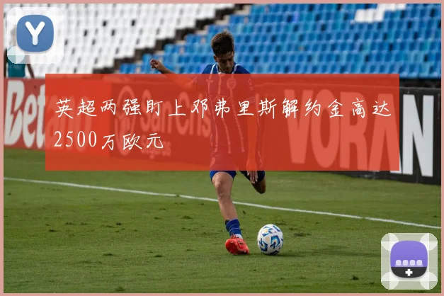 英超两强盯上邓弗里斯解约金高达2500万欧元