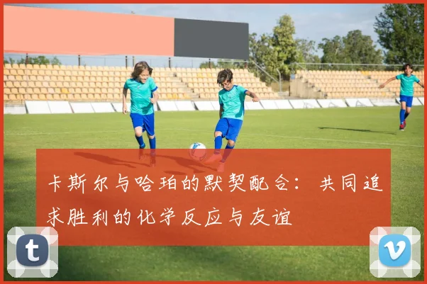 卡斯尔与哈珀的默契配合：共同追求胜利的化学反应与友谊