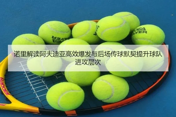 诺里解读阿夫迪亚高效爆发与后场传球默契提升球队进攻层次 | leyu